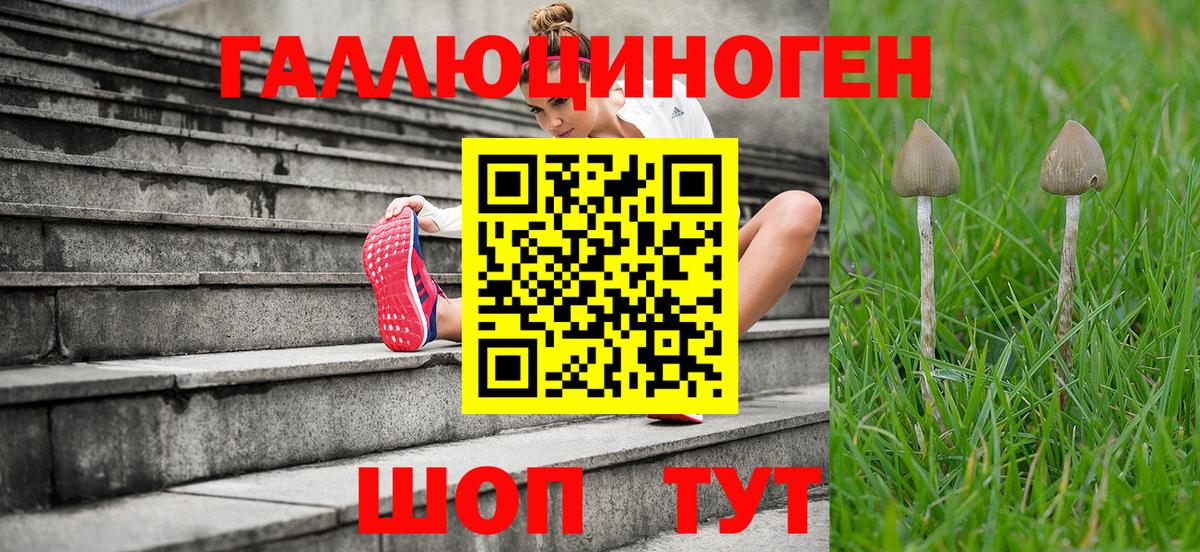 Галлюциногенные грибы GOLDEN TEACHER Первоуральск