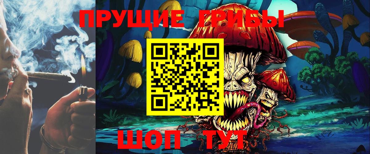 Галлюциногенные грибы GOLDEN TEACHER  хочу наркоту  Первоуральск  Вход с VPN 